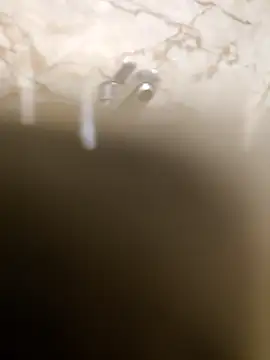 OBengaliBabuO online show from March 16, 12:34 am