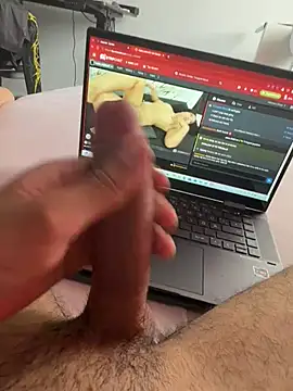 Wolf 18cm online show from July 5, 8:54 am