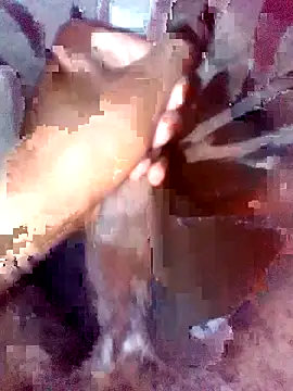 pussy muncha online show from July 26, 9:01 pm