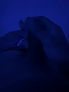 AlexCalx online show from June 16, 4:59 am