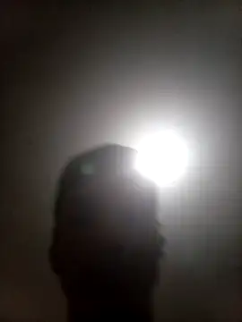bxbicho20 online show from June 28, 3:34 am