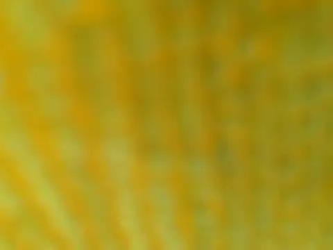 OGXXXOG online show from March 16, 7:17 pm