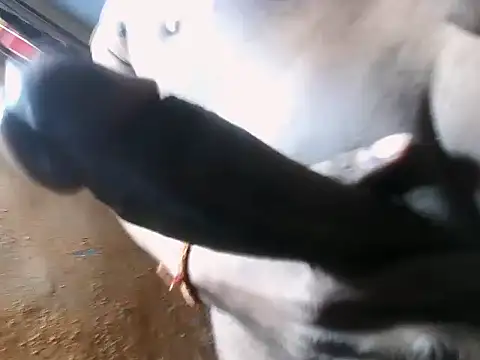 desiboy1101 online show from February 14, 1:29 pm