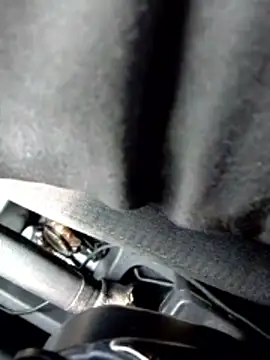 LifeLineSL online show from March 4, 6:31 am