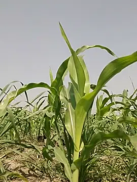 ThethunderPo online show from March 2, 7:37 am