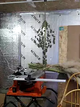 Snapshot of IronedTitan chatting on December 12, 2:26 am IronedTitan online show from December 12, 2:26 am