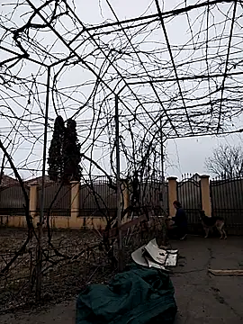 sarpe4 online show from February 7, 10:55 am