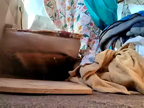 klamper online show from January 28, 7:42 pm