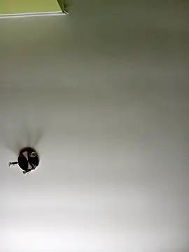 NiceHunter89 online show from February 20, 10:37 am