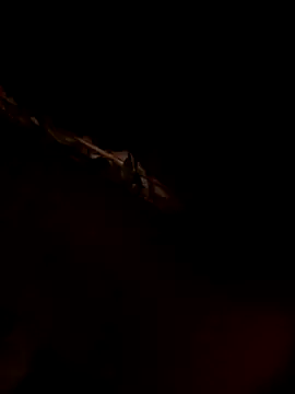 FireFox FeII online show from November 27, 6:22 pm