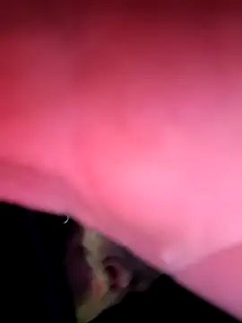 Billywax online show from February 22, 6:04 am