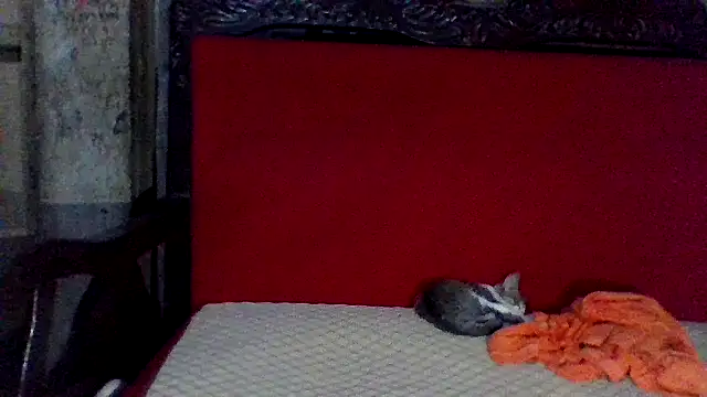 axomen online show from February 16, 3:58 am