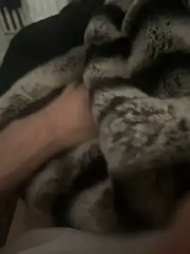 Snapshot of Furdale chatting on December 17, 12:43 pm Furdale online show from December 17, 12:43 pm