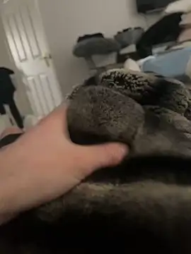 Snapshot of Furdale chatting on February 16, 10:21 am Furdale online show from February 16, 10:21 am