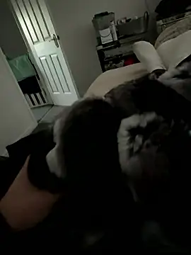 Furdale online show from January 15, 3:47 pm