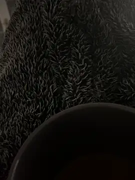 Snapshot of Furdale chatting on December 11, 12:16 pm Furdale online show from December 11, 12:16 pm