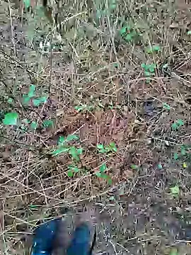 Snapshot of Boring_one chatting on October 22, 12:42 pm Boring one online show from October 22, 12:42 pm