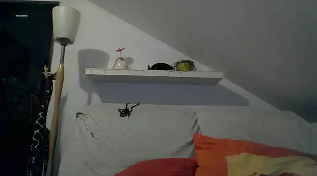 Cambitchboy online show from February 14, 5:09 am