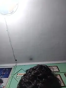 Suhailtyagi55 online show from January 10, 12:53 pm