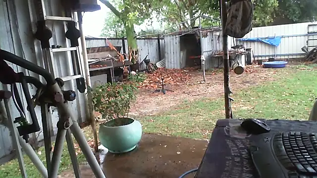 herbie010666 online show from November 13, 4:06 am