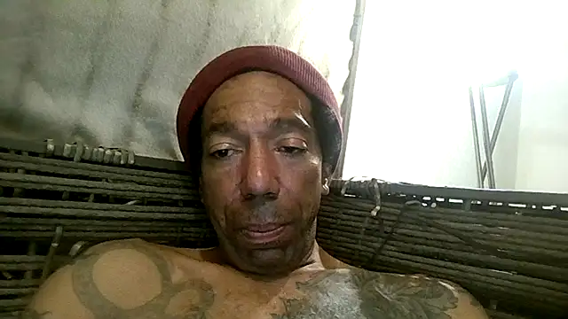 247Srokin online show from November 21, 4:11 am