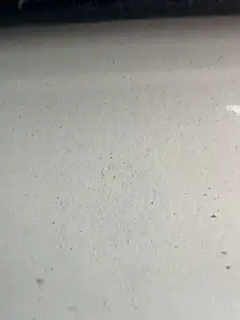 Snapshot of S2kicibey06 chatting on February 7, 7:29 am S2kicibey06 online show from February 7, 7:29 am