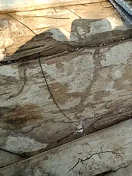 kummuduabbai online show from March 3, 9:28 am