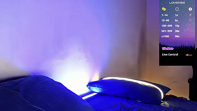 Snapshot of DominantTheo chatting on January 27, 2:42 am DominantTheo online show from January 27, 2:42 am