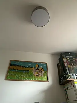Toyjungee online show from July 6, 7:38 am