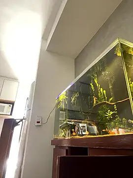 Ravixx online show from January 11, 2:10 pm