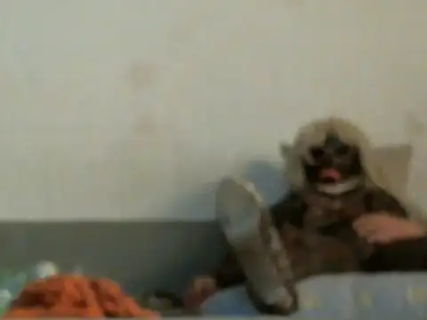 qwer1234 online show from March 5, 5:47 am