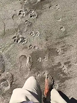 kvr27 online show from January 7, 3:06 pm