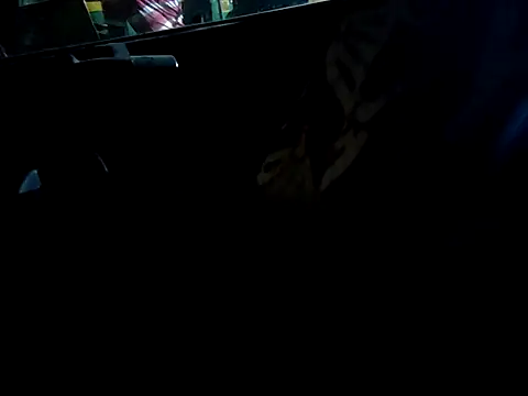 Kolkata   Boy online show from September 16, 4:52 pm